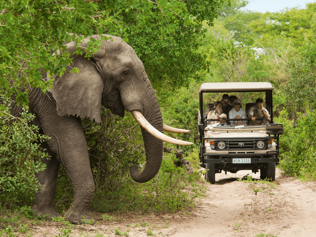 15-daagse groepsrondreis Wild Zuid-Afrika