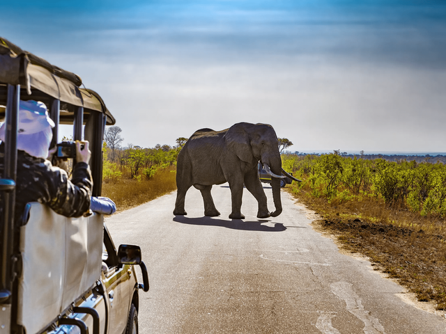 16-daagse familie groepsrondreis Betoverend Zuid-Afrika