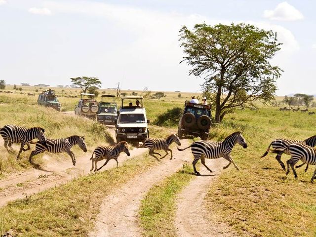 Grenzeloos verliefd op Afrika - Kenia en Tanzania reis