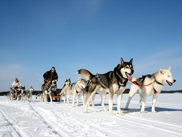 8 daagse excursiereis Ontdek Arctic Lakeland