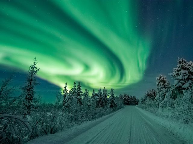 Zweeds Lapland: Huskey's, sneeuwscooters en het noorderlicht