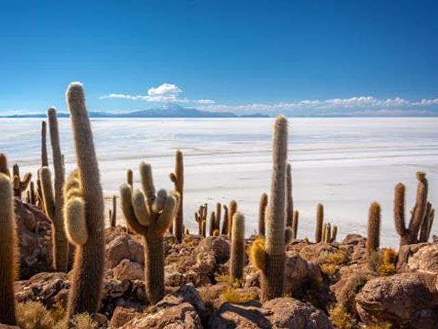 20-daagse rondreis Peru & Bolivia