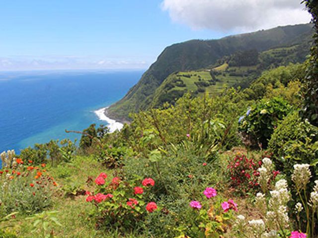 Single reis Azoren Eilandhoppen; Een natuurbelevenis op São Miguel en Terceira