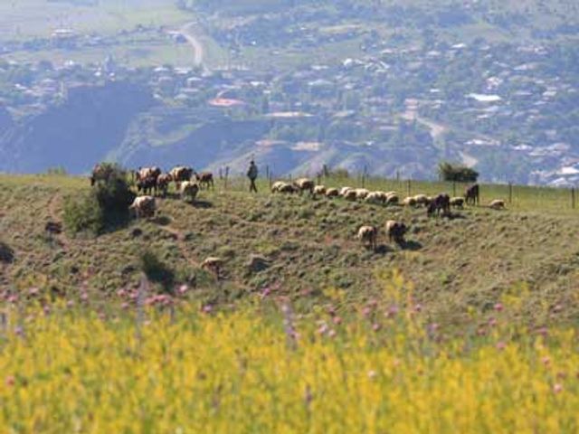 Groepsreis Georgië & Armenië; Waar de reiziger een gast is...