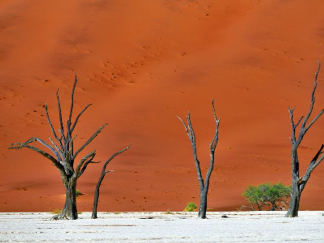 Groepsreis Zuidelijk Afrika in 3 weken; Kamperen tussen de nijlpaarden