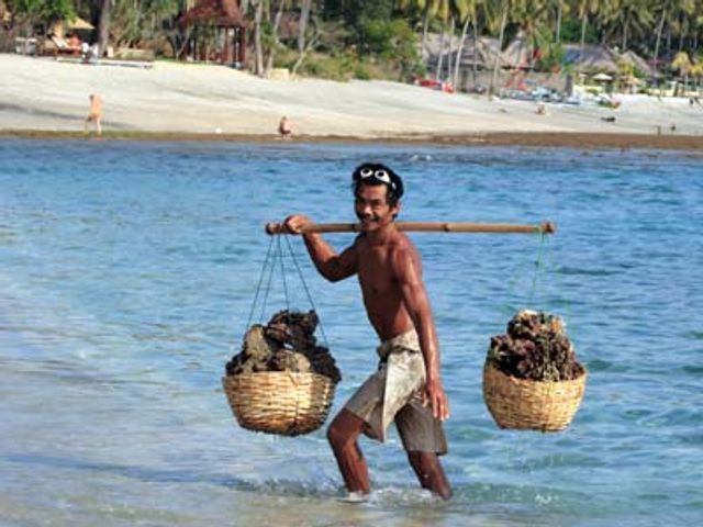 Groepsreis Indonesië: Java, Bali & Gili Eilanden; De 'Gordel van Smaragd'