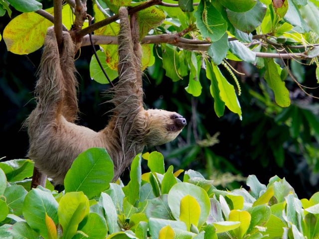 Pura Vida in Costa Rica