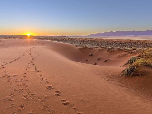 Discover Spectacular Namibia