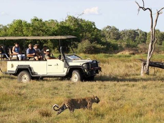 Fly In Luxury Safari Botswana