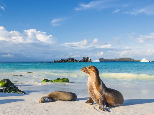 Beautiful Ecuador and Galapagos