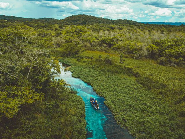 Discover the Nature of Brazil