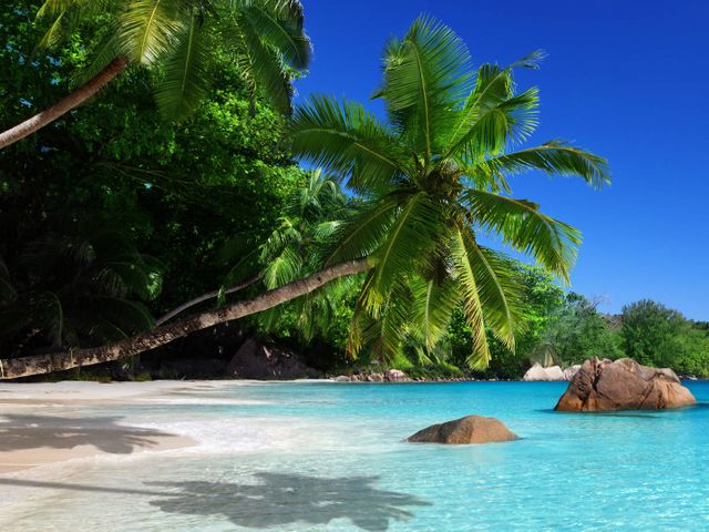 Idyllic Seychelles Island Hopping