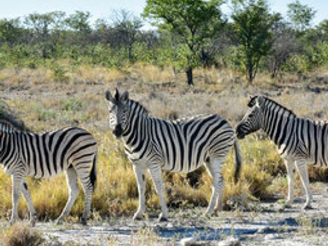 Groepsrondreis Zuidelijk Afrika - kampeerreis