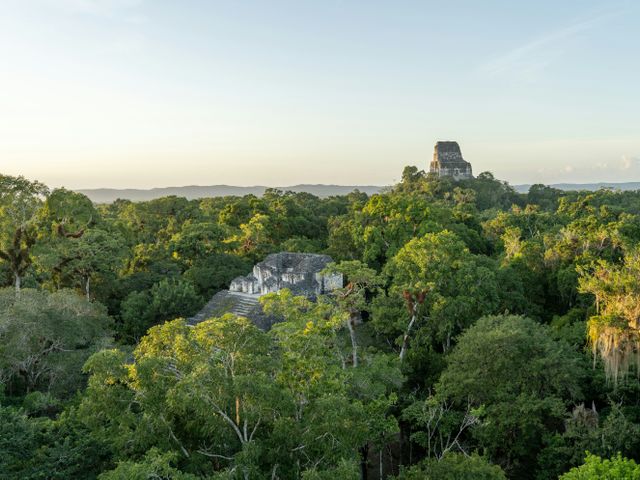 Exploring The Highlands & Tikal | Undiscovered