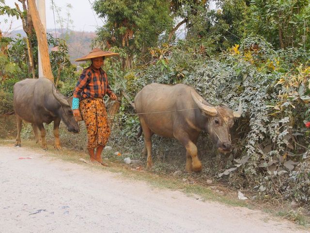 Rondreis 1: On the road to Mandalay