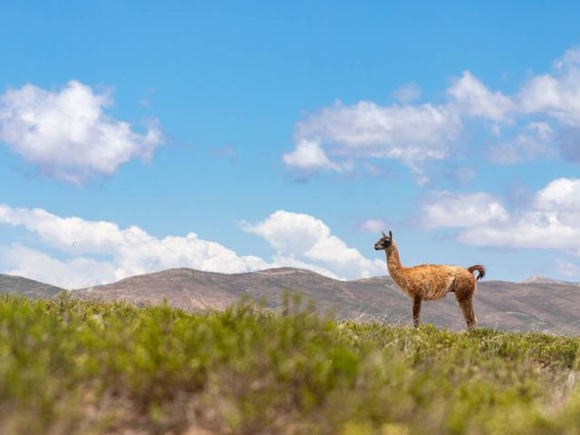 Impressions of North Argentina