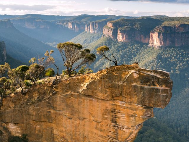 Kusten, Koraal en Regenwoud in Oost-Australië Superior