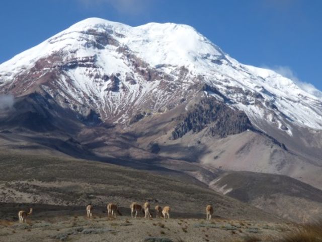 Rondreis Ecuador, 21 dagen