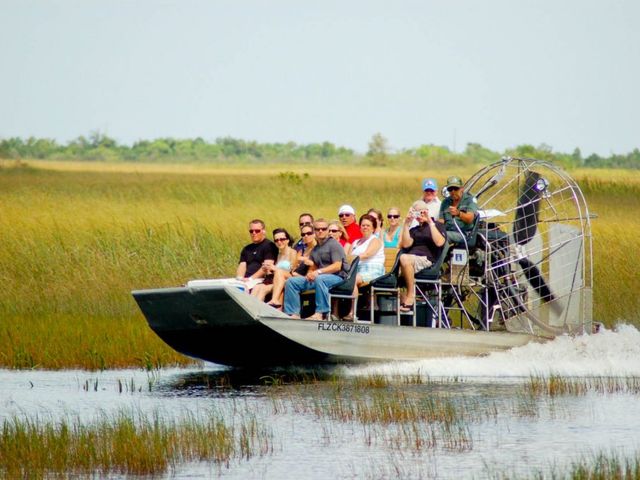 Natuurschoon & wildlife van Florida