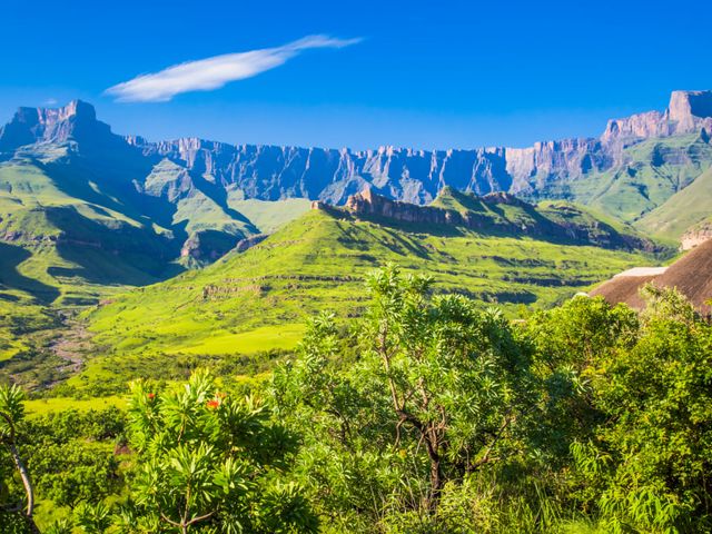 Leeuwen en Zuid-Afrikaanse Magie