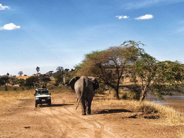 Safari Tanzania Highlights Deluxe