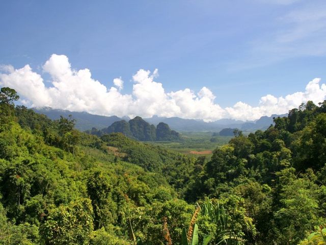 Cultuur en Jungle van Thailand Deluxe