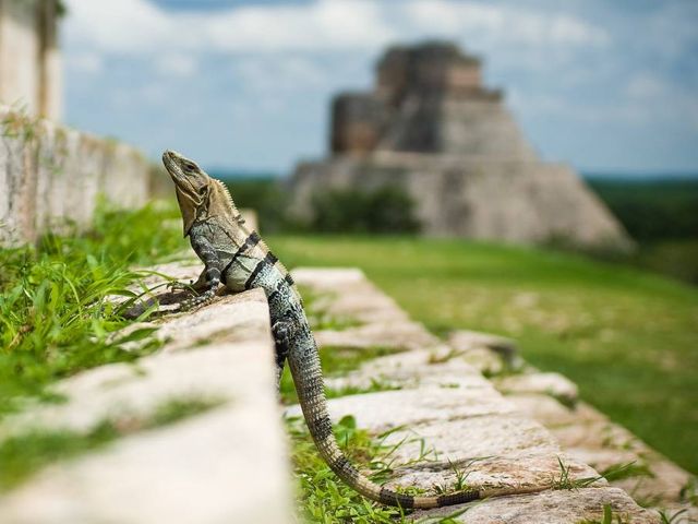 Highlights Yucatán & Chiapas