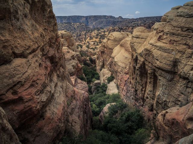 Avontuurlijk Jordanië Deluxe