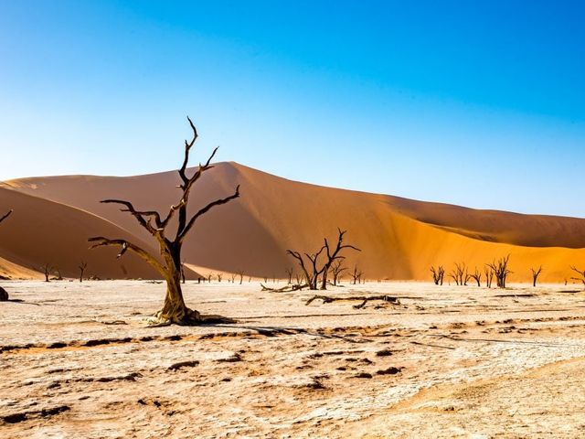 Highlights Avontuurlijk Namibië Deluxe