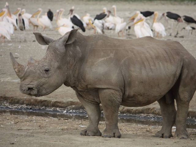 Grand Tour Kenia & Tanzania