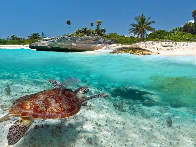 Islandhopping met een Caribisch tintje