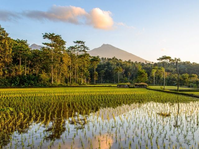 Bali en Lombok