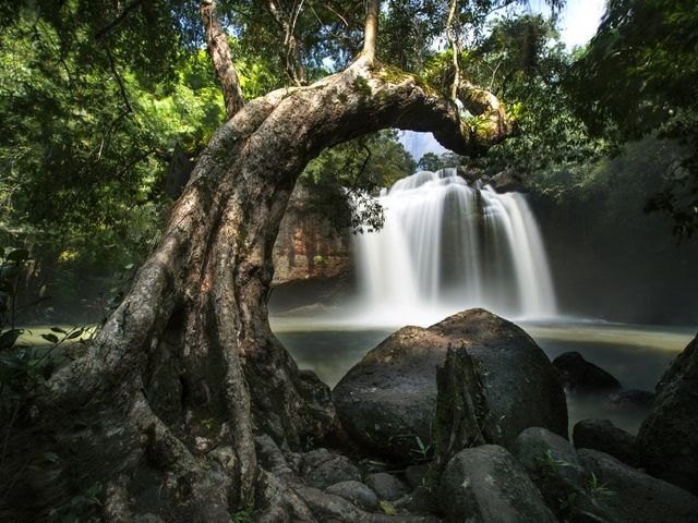 Avontuurlijk Thailand en Cambodja