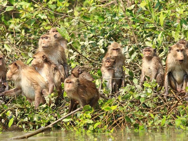 Bangkok, Khao Yai en Koh Samet