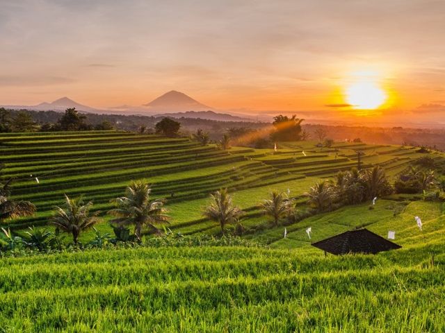 Bali - Gili Explorer