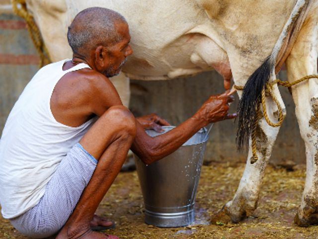 Rondreis NOORD-INDIA - 16 dagen; Bihar, Uttar Pradesh en Madhya Pradesh