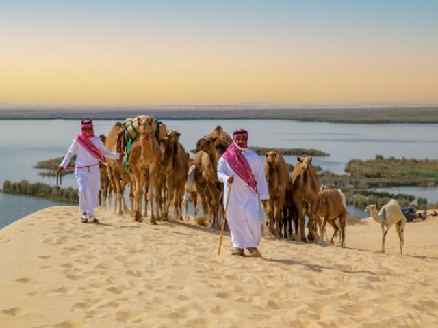 Rondreis SAOEDI-ARABIË, QATAR & BAHREIN - 15 dagen; Van de Rode Zee naar de Perzische Golf