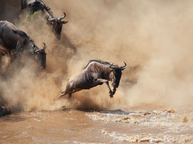 Rondreis KENIA & TANZANIA - Internationale Groepsreis - 14 dagen; Hoogtepunten van Oost-Afrika