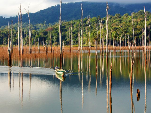 Rondreis SURINAME - 15 dagen; Diep in het regenwoud