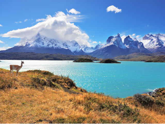 Rondreis PATAGONIË - 24 dagen; Einde van de wereld