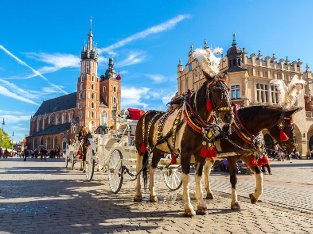 Rondreis POLEN HOOGTEPUNTEN - 15 dagen; Het land van duizend meren