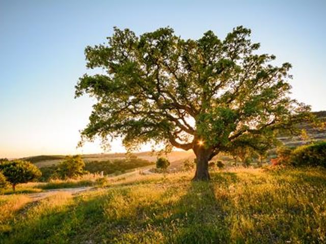 8 daagse fly drive Portugal Algarve & Alentejo