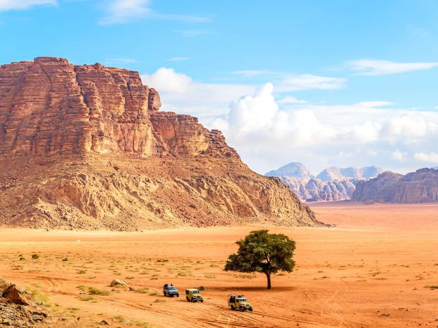 Singlereis Woestijnwonderen van Jordanië