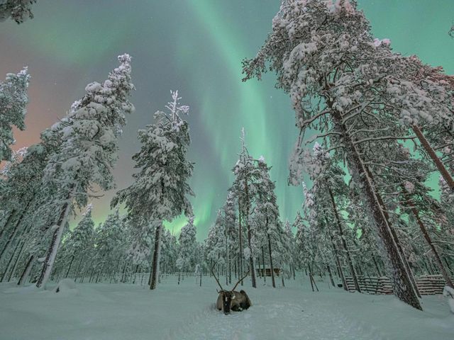 Singlereis Winters Fins Lapland - Het magische noorderlicht