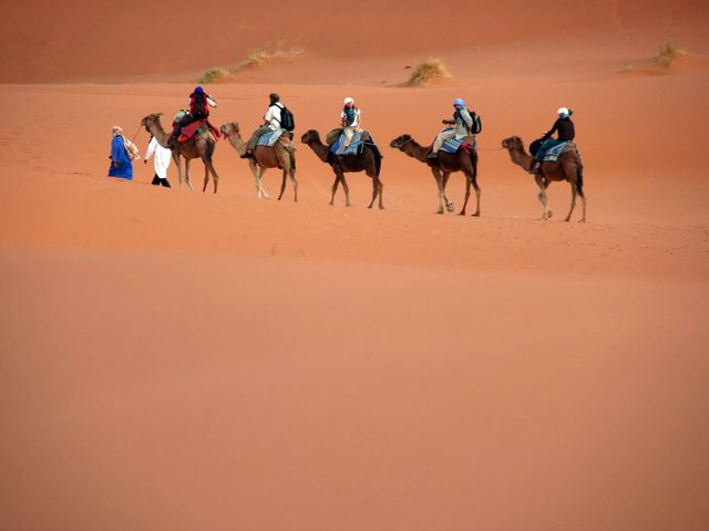 Singlereis Marokko - Medina's, muntthee en Marrakech