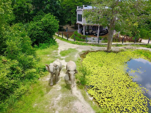 Familie Rondreis Olifanten & Stranden in Thailand