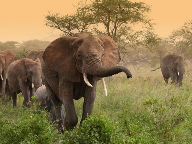 Fly-drive Zuid-Afrika - van Krugerpark tot Kaapstad