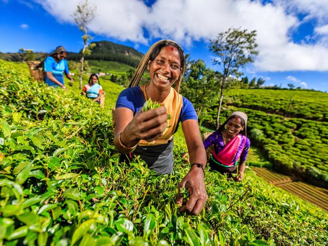 groepsreis Sri Lanka en Malediven