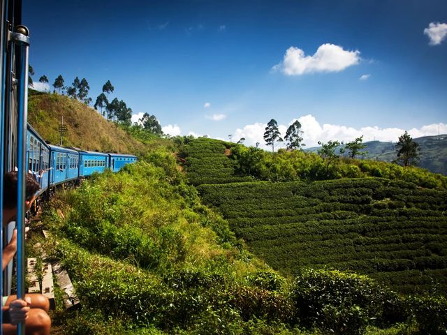 Groepsreis Mooiste Natuur van Sri Lanka