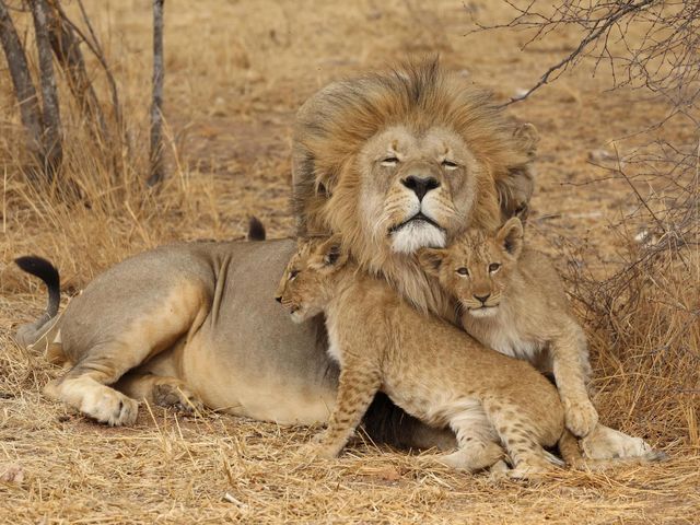 Fly-drive Magisch Zuid-Afrika